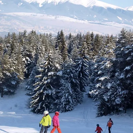 Holiday home Domcek Pri Medokysi