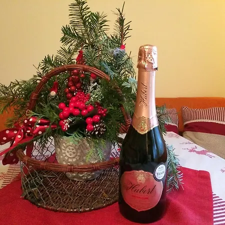 Holiday home Domcek Pri Medokysi